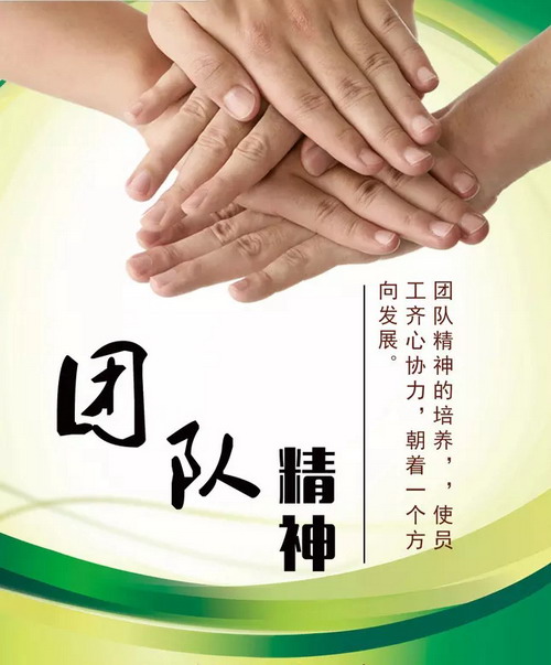 企業(yè)需要團(tuán)隊精神