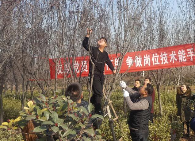 發揮黨員先鋒模范作用 上好園林技能必修課