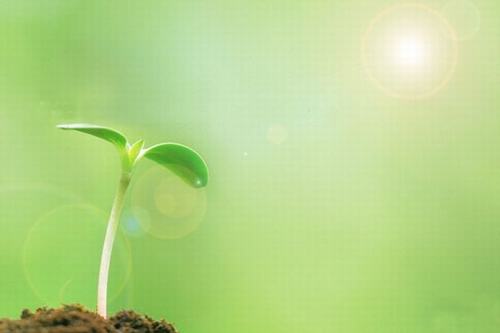 歲生之初，且聽(tīng)我說(shuō)