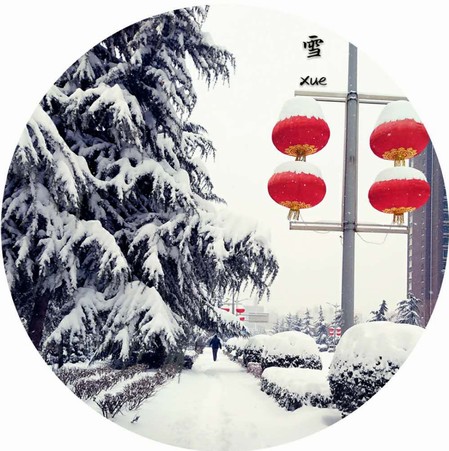 雪，寒冬里的溫柔