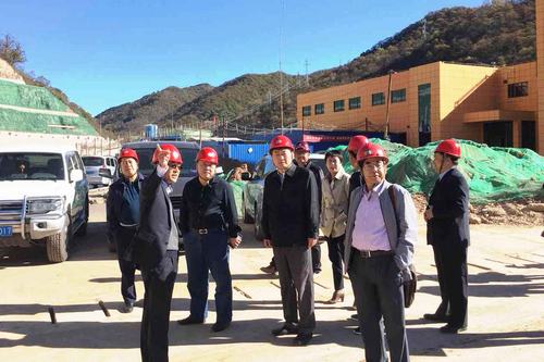 寧興剛、王寧一行深入冶坪項目調研指導工作