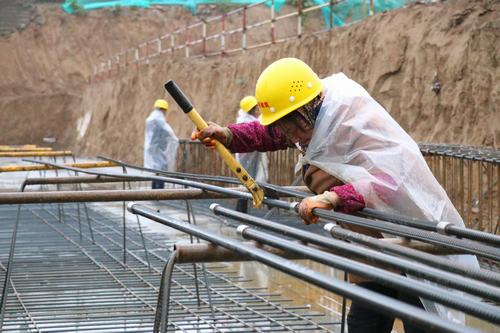 雨天里，“小蜜蜂們”在“筑巢”