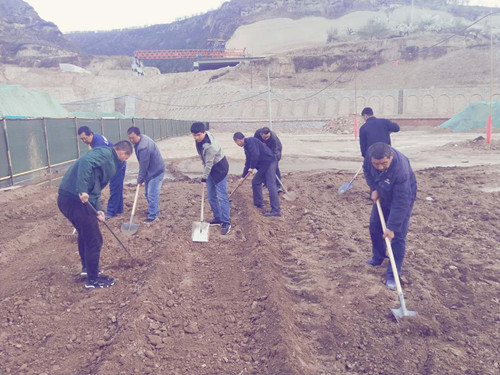 陜煤建設天工公司土建三部不負時光“務農”  豐富員工餐桌