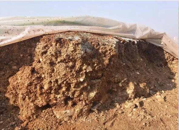 “廢料”變“肥料”,蘑菇包在土壤改良中的應用