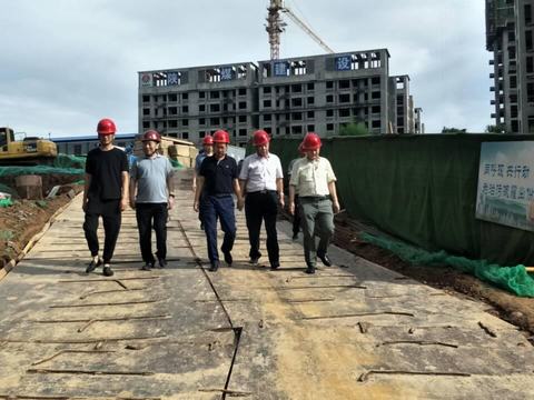 贠公法在航天城藍山水岸項目調研