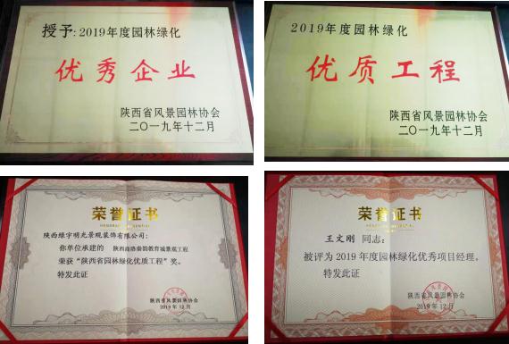 喜訊！綠宇公司榮獲省級“2019年度園林綠化優秀企業”等三項榮譽