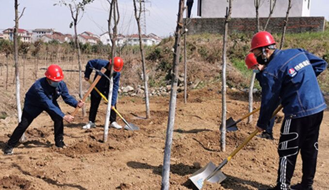 今天你植樹了嗎？