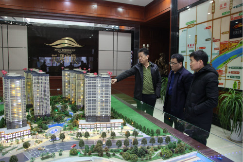 公司領導王明智、楊讓順深入龍灣水境項目視察指導工作