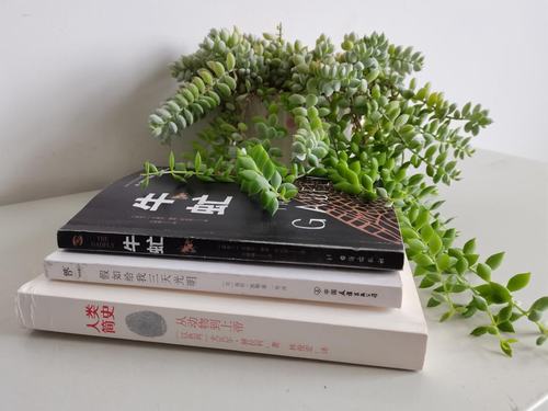 陜煤建設設計研究院開展“以書為伴 悅讀人生”讀書分享活動