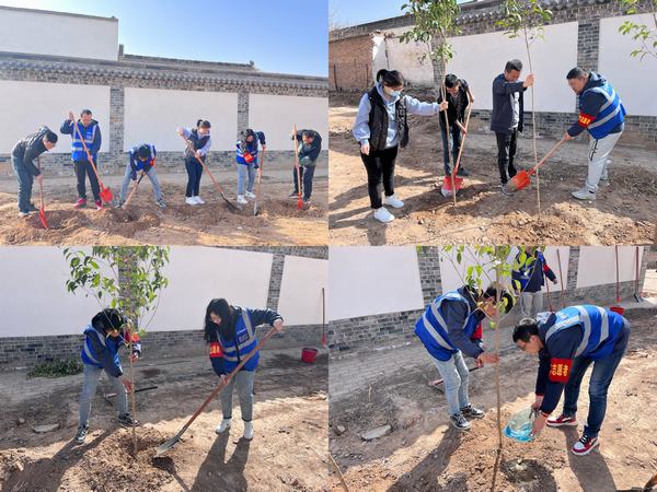 陜煤建設韓城分公司土建四項目部：栽種綠色希望，不負青春時光