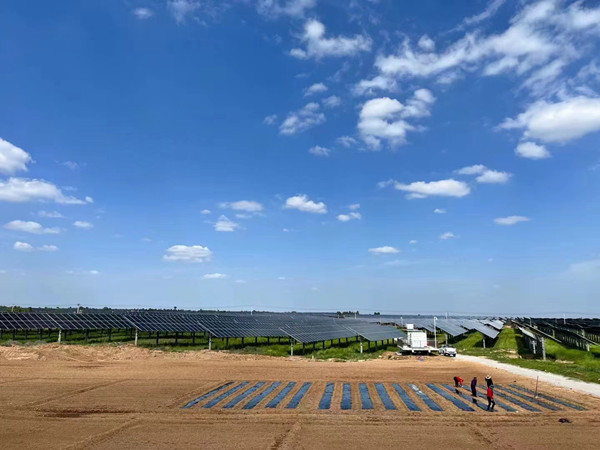 陜煤建設(shè)機(jī)電安裝公司蒲白光伏發(fā)電項(xiàng)目順利通過商業(yè)運(yùn)營(yíng)前監(jiān)督檢查