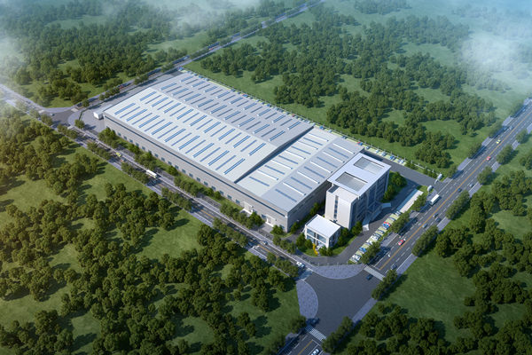 守望初心勇擔當 篤定前行綻芳華