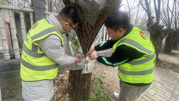 陜煤建設路橋分公司渭南項目部開展“綠色修復，生態(tài)共贏”別樣植樹節(jié)活動