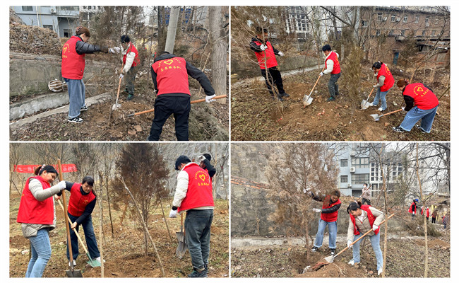 陜煤建設(shè)機(jī)電安裝公司：走，上春山，植樹去！