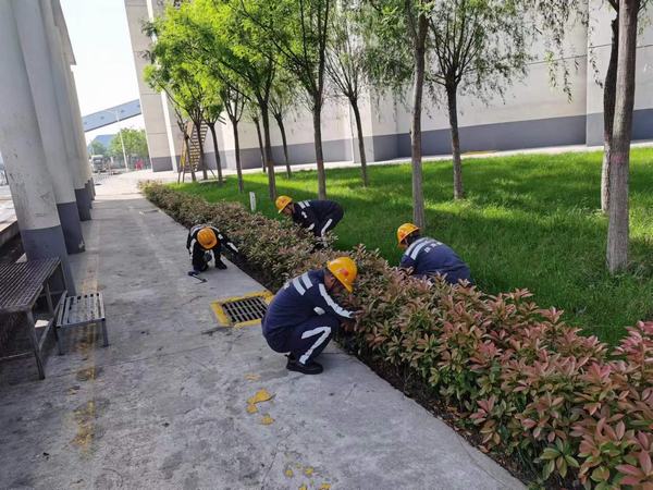陜煤建設洗選煤運營公司神渭蒲城運營項目部：逐”綠”而行 向”綠”而興！廠區綠化在行動