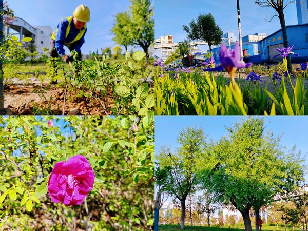 陜煤建設洗選煤運營公司紅柳林洗煤廠項目部：強化綠色三大支柱  筑牢綠色生態屏障