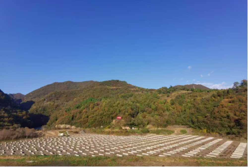 抓安全 保質(zhì)量 搶進度 漢中分公司全力推進重點項目建設(shè)