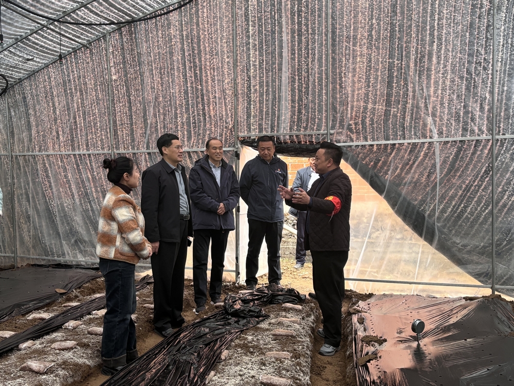 司正林深入定點(diǎn)幫扶村和漢陰實(shí)驗(yàn)中學(xué)項(xiàng)目調(diào)研指導(dǎo)工作