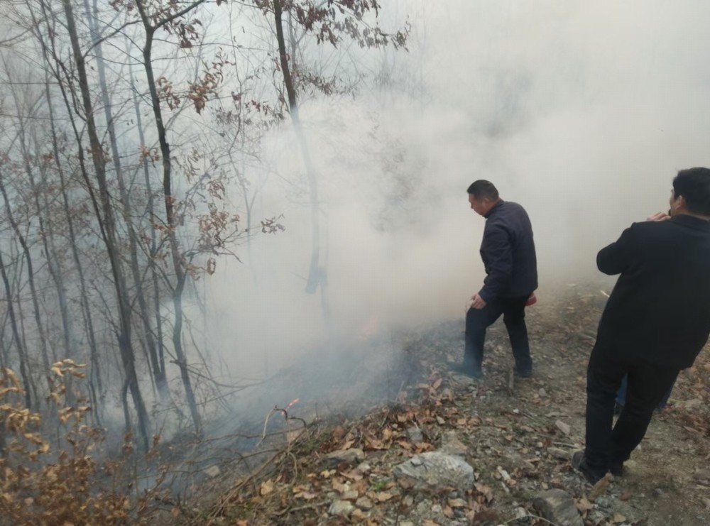 陜煤建設駐村工作隊：勇撲山火保平安 踐行擔當群眾贊