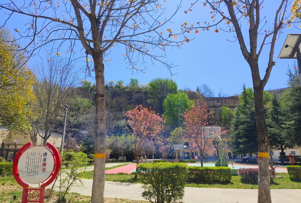 陜煤建設銅煤公司：春韻盈院 奮楫新程