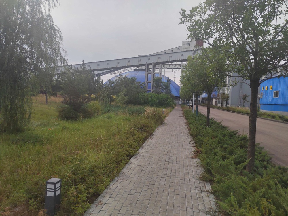 陜煤建設洗選煤運營公司紅柳林洗煤廠項目部：秋韻里的安全堅守與生產奮進