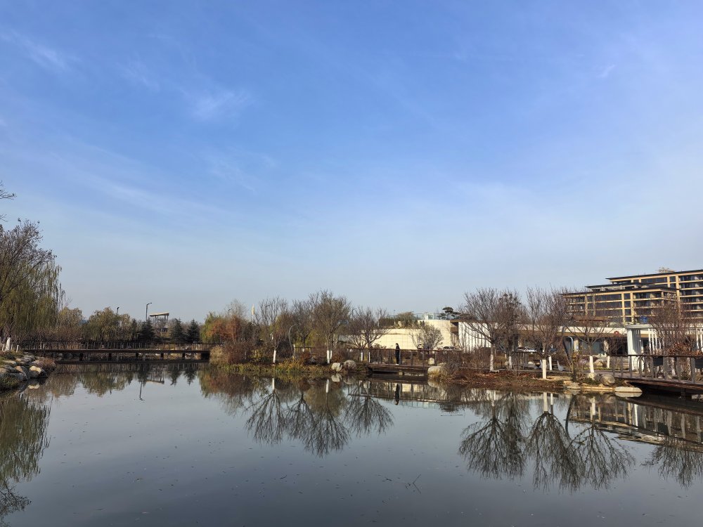 冬日藍調:空港中心公園寫給城市的暖詩