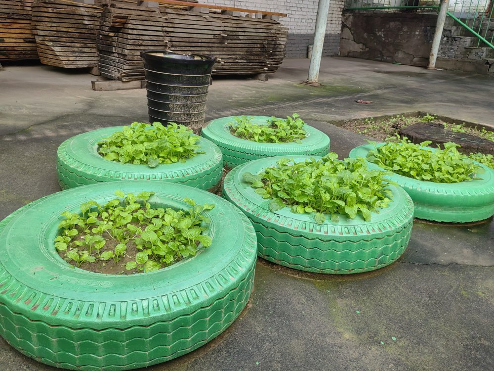 創意無休,廢舊輪胎也能C位出道