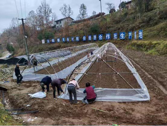 陜煤建設定點幫扶村：以“五化”實踐助力鄉村全面振興